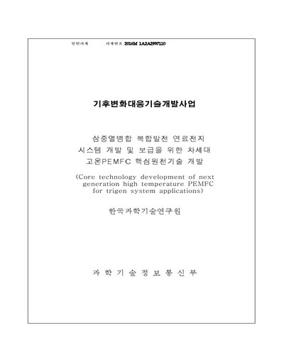 삼중열병합 복합발전 연료전지 시스템 개발 및 보급을 위한 차세대 고온PEMFC 핵심원천기술 개발 [전자자료]