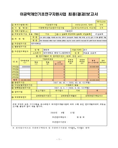 고속 음향 모델을 이용한 MR 유도 경두개 집속초음파 치료를 위한 3차원 실시간 표적 가시화 플랫폼 개발 [전자자료]