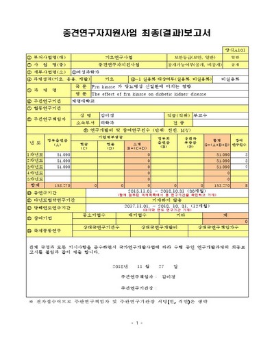 Fyn kinase 가 당뇨병성 신질환에 미치는 영향 [전자자료]