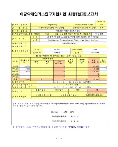 모세관 현상과 소용돌이운동에 대한 모델링 및 수치계산 [전자자료]