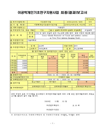 시각 및 청각 피질의 교차 가소성에 관한 연구: 생체 이광자 영상화 연구 [전자자료]