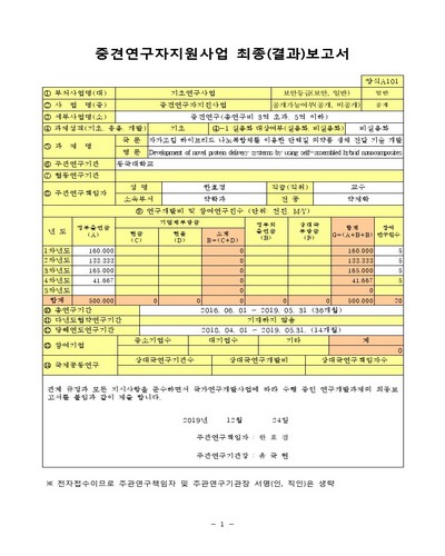 자가조립 하이브리드 나노복합체를 이용한 단백질 의약품 생체 전달 기술 개발 [전자자료]