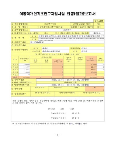 레이저 융합 초분광 시스템을 활용한 동정맥기형증 및 암 혈관치료방법에 관한 연구 [전자자료]