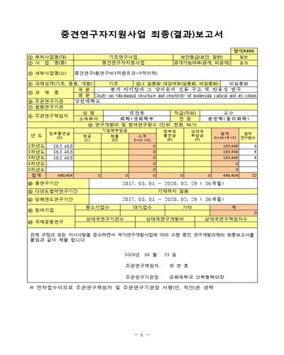 분자 라디칼과 그 양이온의 진동 구조 및 반응성 연구 [전자자료]