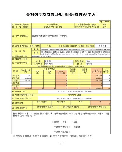 전압의존성 K 채널의 세포내 분포 특성이 뉴런의 흥분성과 시냅스 신호 전달 조절에 미치는 영향 연구 [전자자료]
