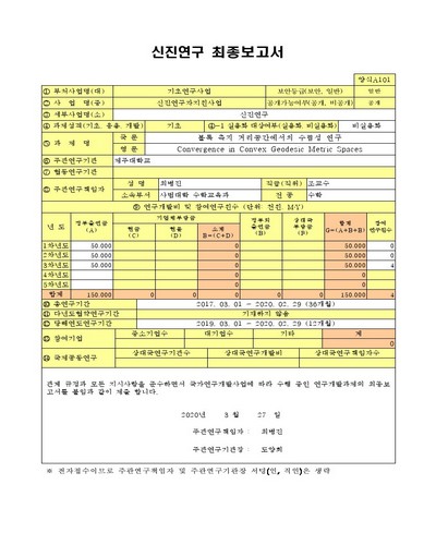볼록 측지 거리공간에서의 수렴성 연구 [전자자료]