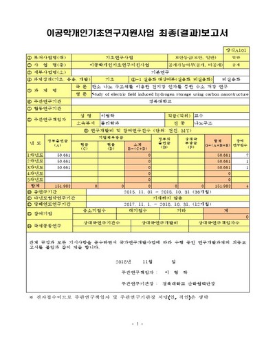 탄소 나노 구조체를 이용한 전기장 인가를 통한 수소 저장 연구 [전자자료]