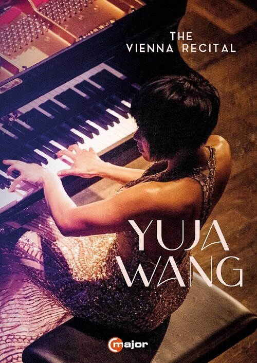 The Vienna recital [videorecording]