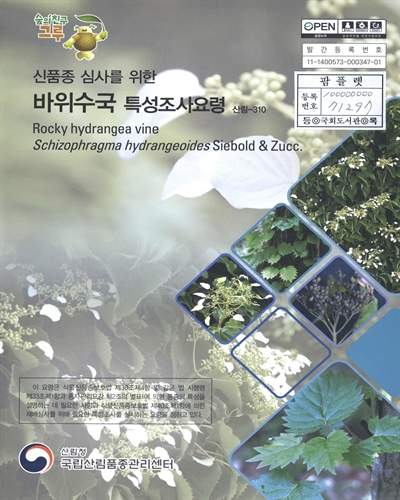 바위수국 : 신품종 심사를 위한 식물별 특성조사요령