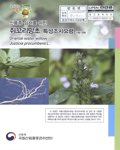 쥐꼬리망초 : 신품종 심사를 위한 식물별 특성조사요령