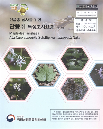 단풍취 : 신품종 심사를 위한 식물별 특성조사요령