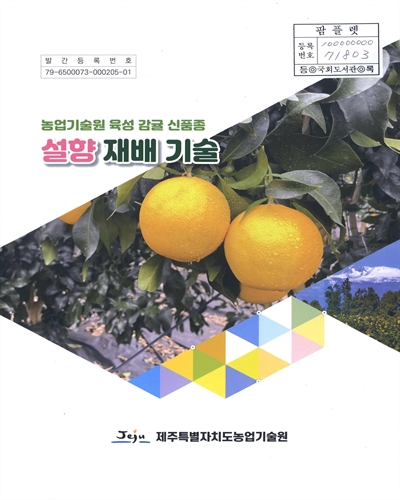 (농업기술원 육성 감귤 신품종) 설향 재배 기술