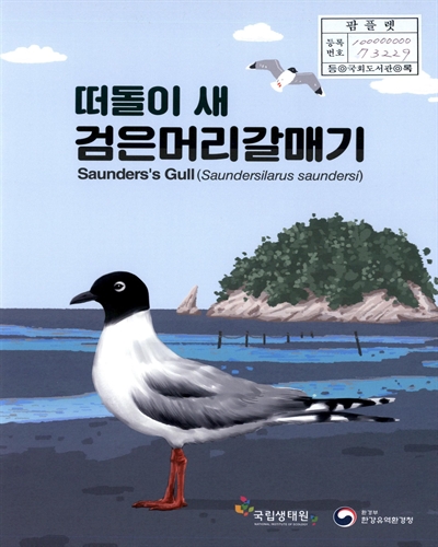 (떠돌이 새) 검은머리갈매기 : Saunders's Gull(Saundersilarus saundersi)