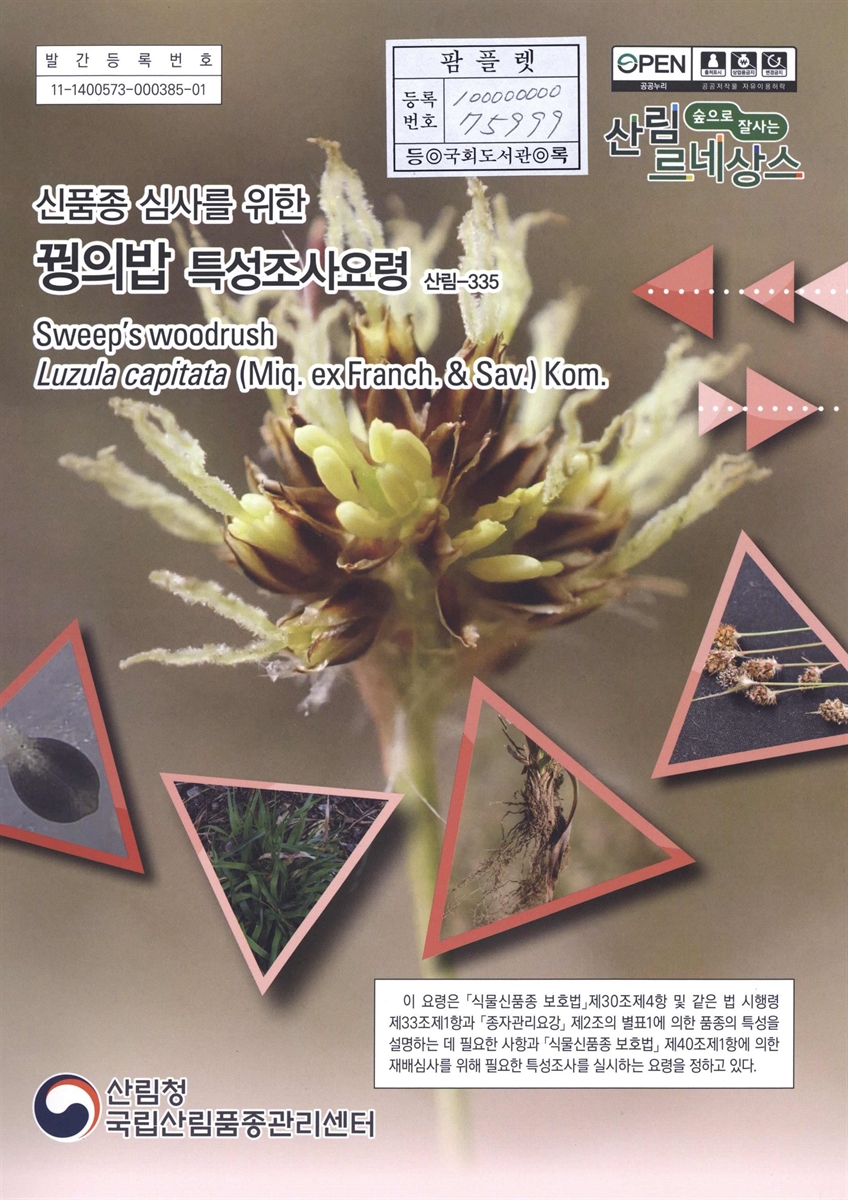 꿩의밥 : 신품종 심사를 위한 식물별 특성조사요령