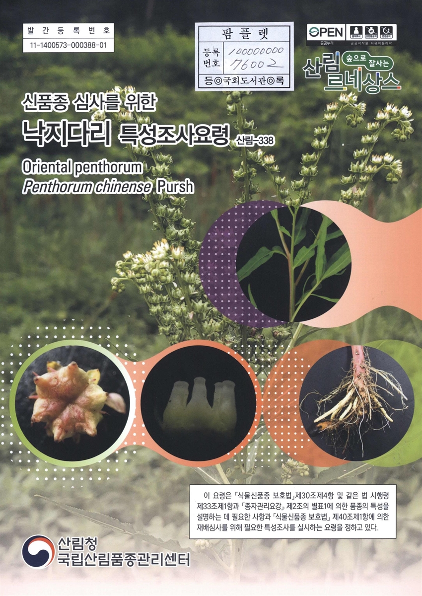 낙지다리 : 신품종 심사를 위한 식물별 특성조사요령