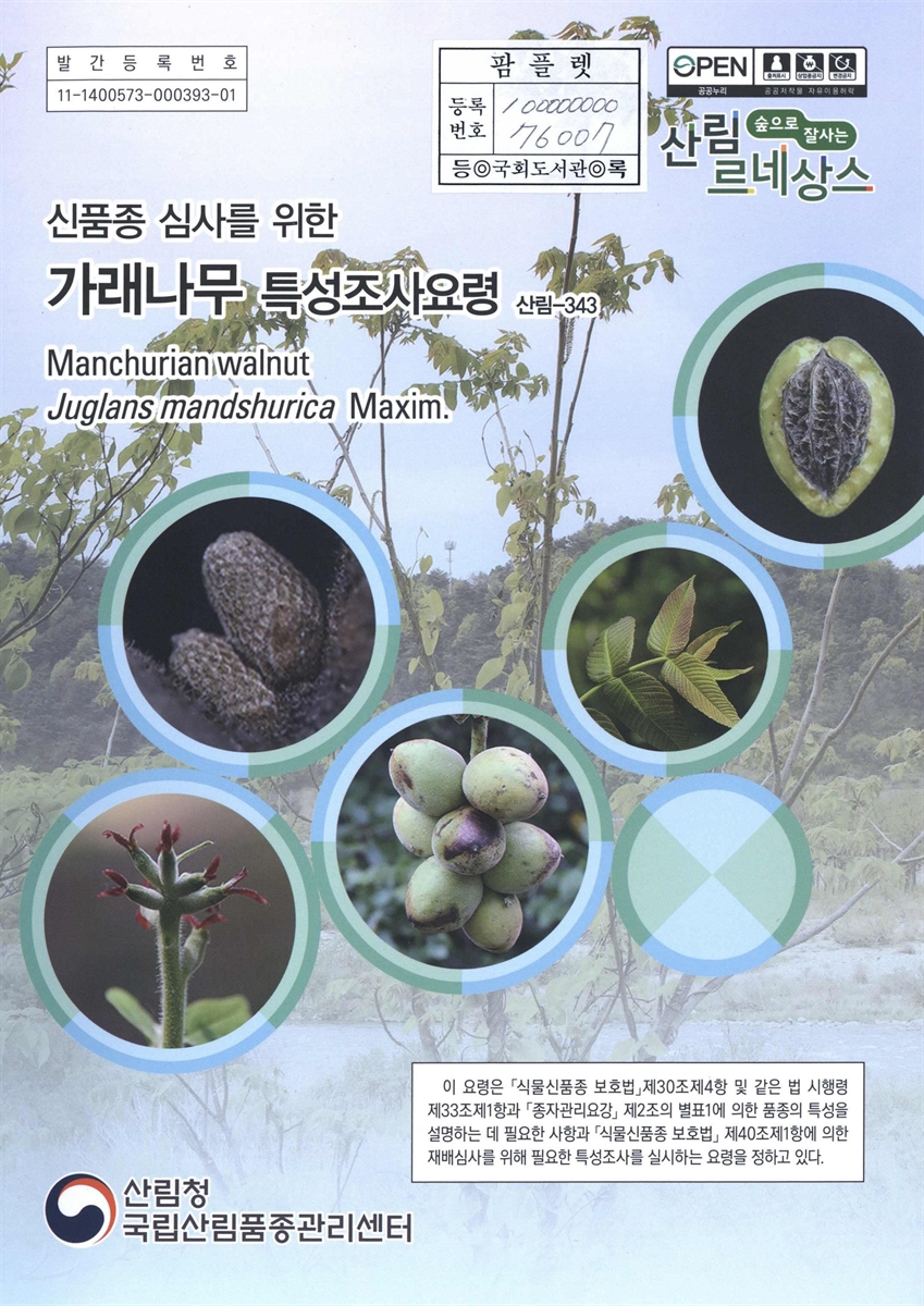 가래나무 : 신품종 심사를 위한 식물별 특성조사요령