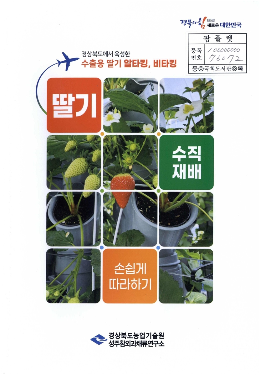 딸기 수직재배 손쉽게 따라하기 : 경상북도에서 육성한 수출용 딸기 알타킹, 비타킹