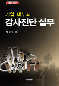 (기업 내부의)감사진단 실무