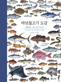 바닷물고기 도감 : 우리나라에 사는 바닷물고기 158종