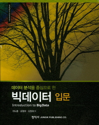 (데이터 분석을 중심으로 한)빅테이터 입문 = Introduction to big data