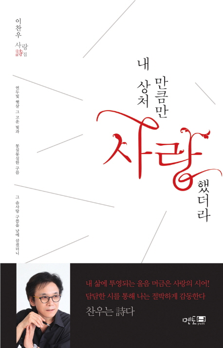 내 상처만큼만 사랑했더라 : 이찬우 사랑 詩집