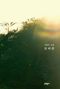 프리즘 : 이상우 소설