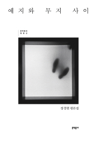 예지와 무지 사이 : 장경렬 평론집