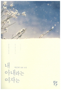 내 아내라는 여자는 : 박은하 장편 소설