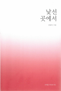 낯선곳에서 : 강송숙 시집