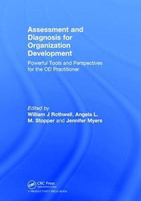 Assessment and diagnosis for organization development : powerful tools and perspectives for the OD practitioner