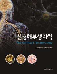 신경해부생리학 = Neuroanatomy and neurophysiology