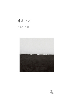 겨울모기 : 박인식 시집