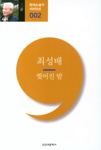 찢어진 밤 : 최성배 소설선