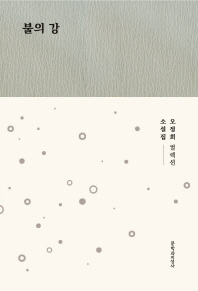 불의 강 : 오정희 소설집