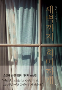 새벽까지 희미하게 : 정미경 소설집