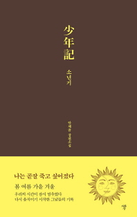 소년기 : 안채윤 장편소설