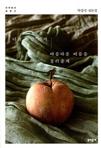 너의 수만 가지 아름다운 이름을 불러줄게 : 박상수 평론집