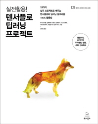 (실전활용!) 텐서플로 딥러닝 프로젝트 : 10가지 실무 프로젝트로 배우는 텐서플로와 딥러닝 알고리즘 100% 활용법