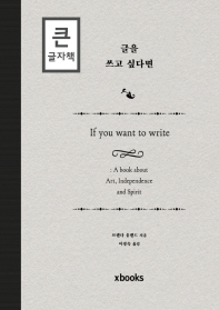 글을 쓰고 싶다면 : 큰글자책