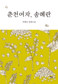 춘천여자, 송혜란 : 박철호 장편소설