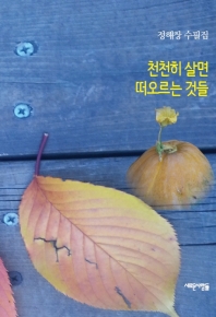 천천히 살면 떠오르는 것들 : 정해창 수필집