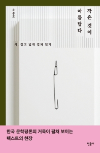 작은 것이 아름답다 : 시, 깊고 넓게 겹쳐 읽기