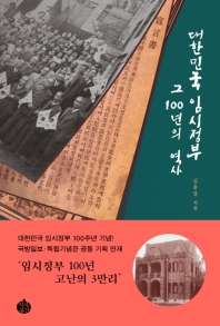 대한민국 임시정부 그 100년의 역사 / 김용달 지음