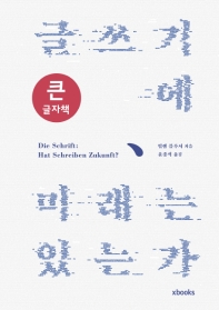 글쓰기에 미래는 있는가 : 큰글자책
