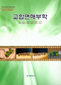 교합면해부학 = Occlusal anatomy