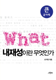 내재성이란 무엇인가 : 큰글자책