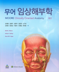 (무어) 임상해부학