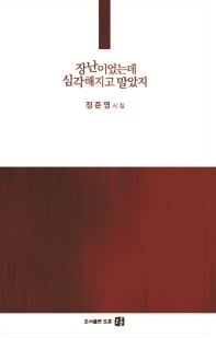 장난이었는데 심각해지고 말았지 : 정준영 시집