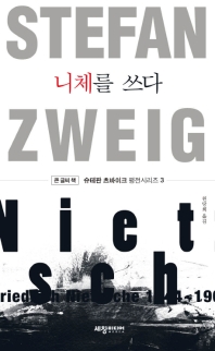 니체를 쓰다 : 큰 글씨 책