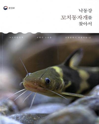 낙동강 꼬치동자개를 찾아서